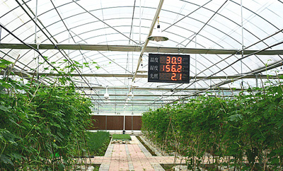 LoRa土壤溫濕度監(jiān)測(cè)，實(shí)現(xiàn)農(nóng)業(yè)生長(zhǎng)環(huán)境智能控制